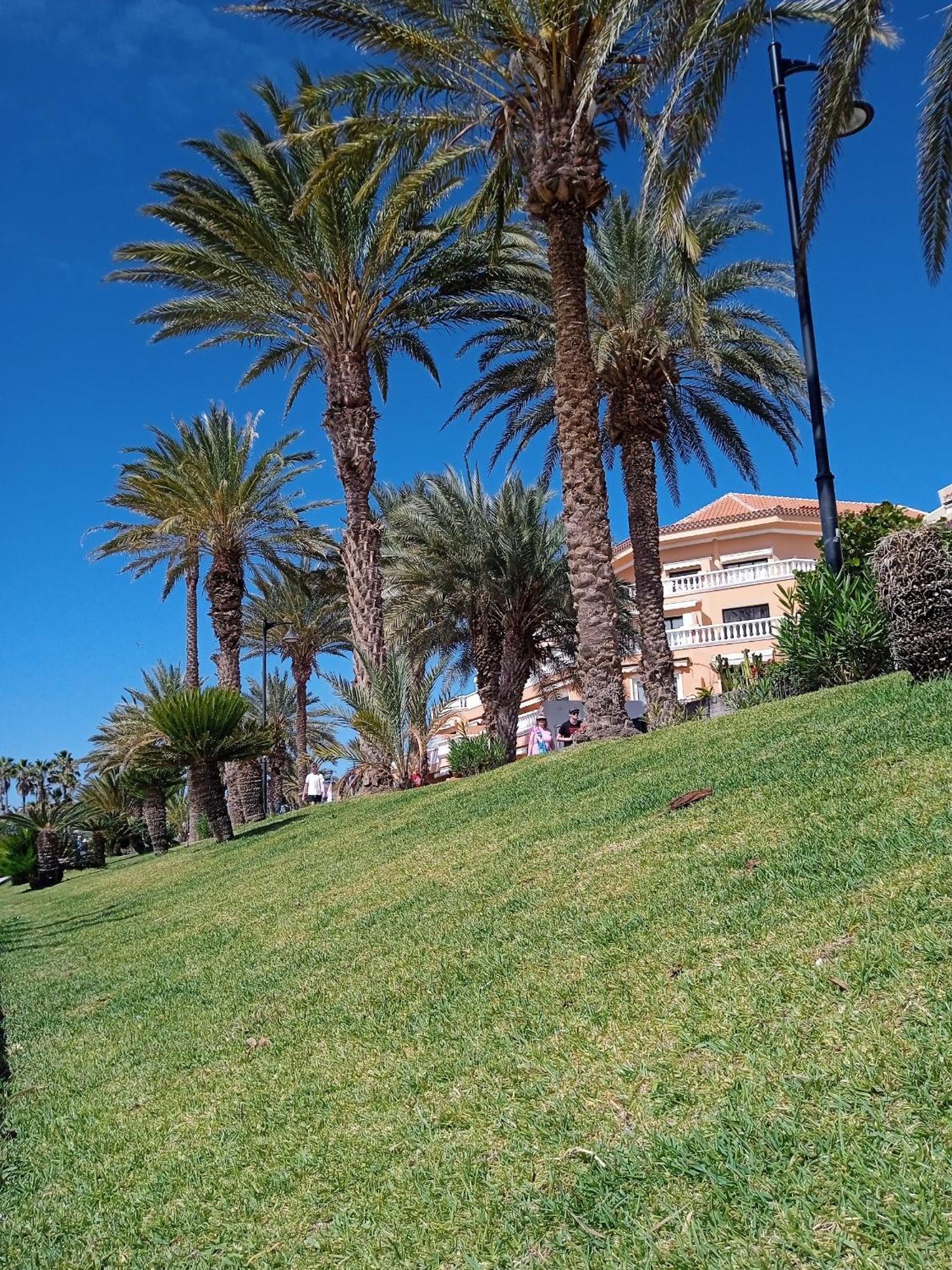 Apartamento Familiar Con Piscina Con Wi Fi En Los Cristianos 洛斯克里斯蒂亚诺斯 外观 照片